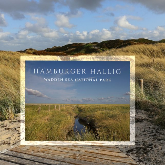 Postal de Hamburger Hallig, Mar de Wadden, Alemani (Subido por el creador)