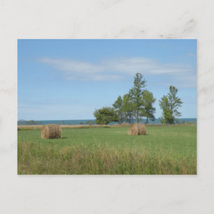 Postal de Hay Field