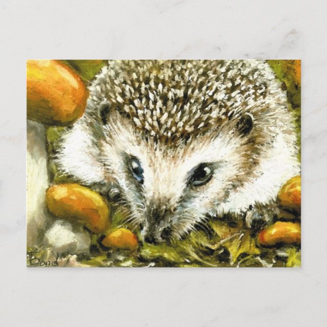 postal de Hedgehog (Anverso)