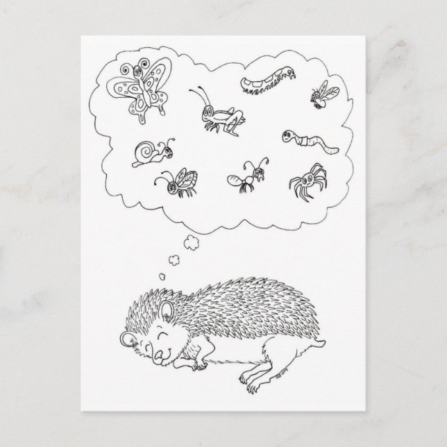 Postal de Hedgehog Dreams (Anverso)