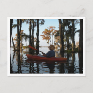 Postal de Henderson Swamp