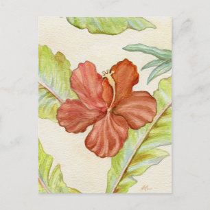 Postal de Hibiscus