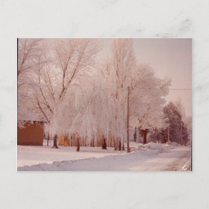Postal de hielo de invierno