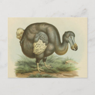 Postal de Historia Natural del Antiguo Dodo Bird