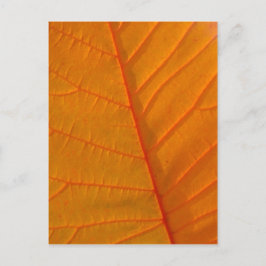 Postal de hoja de árbol de humo