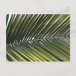 Postal de hoja de árbol de palmas