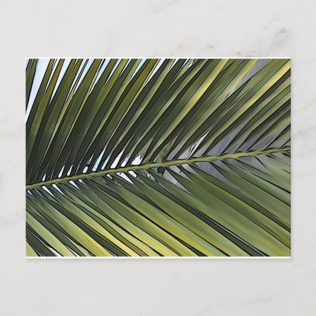 Postal de hoja de árbol de palmas (Anverso)