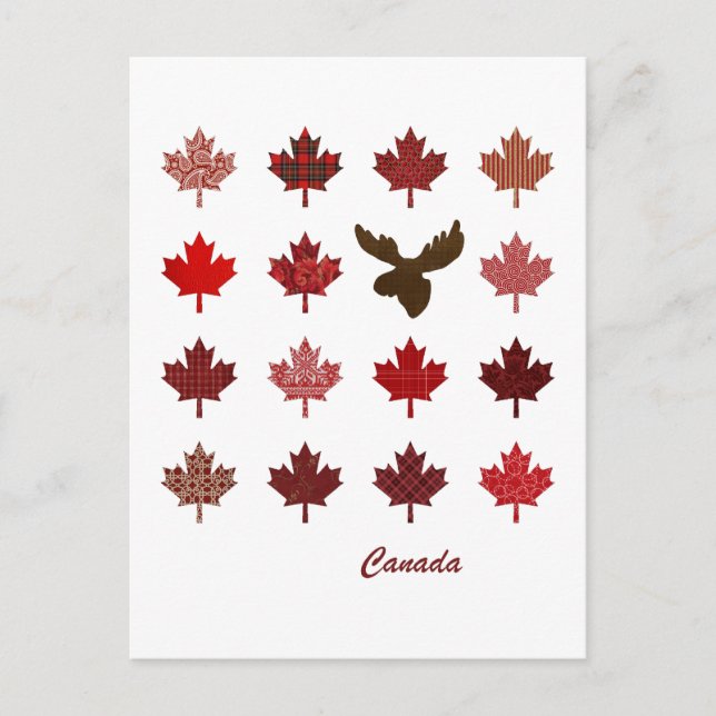 Postal de hoja de arce y alce de Canadá (Anverso)