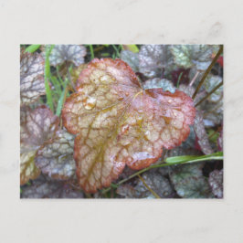 Postal de hoja de corazón