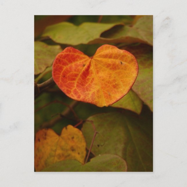 Postal de hoja de otoño en forma de corazón (Anverso)
