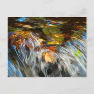 Postal de hojas de cascada