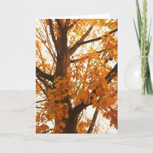 Postal de hojas de otoño (Anverso)