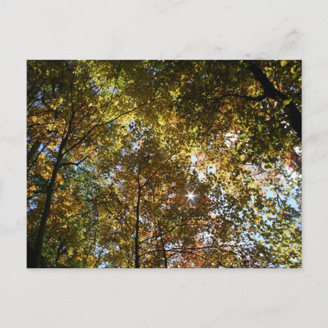 Postal de hojas de otoño (Anverso)