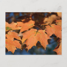 Postal de hojas de otoño