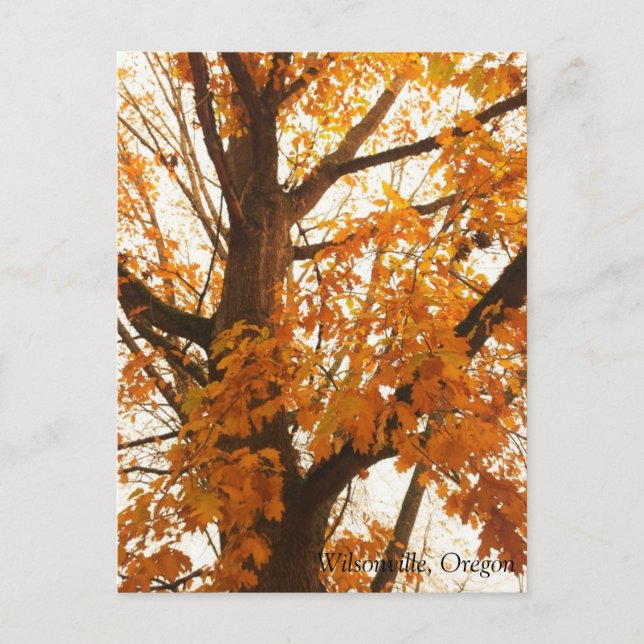 Postal de hojas de otoño (Anverso)