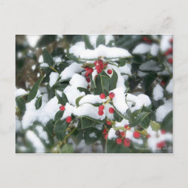 Postal de Holly Bush 2007