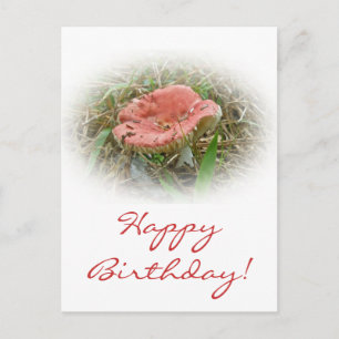 Postal de hongos rosados de cumpleaños
