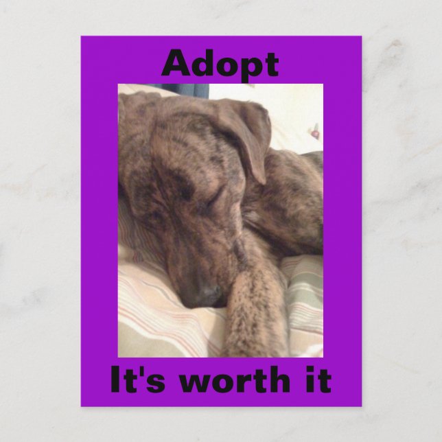 Postal de Hound Plott (Anverso)