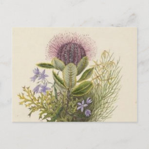 Postal de hueso floral vintage