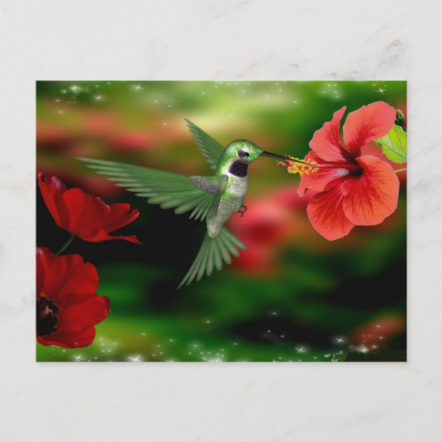 Postal de Hummingbird (Anverso)