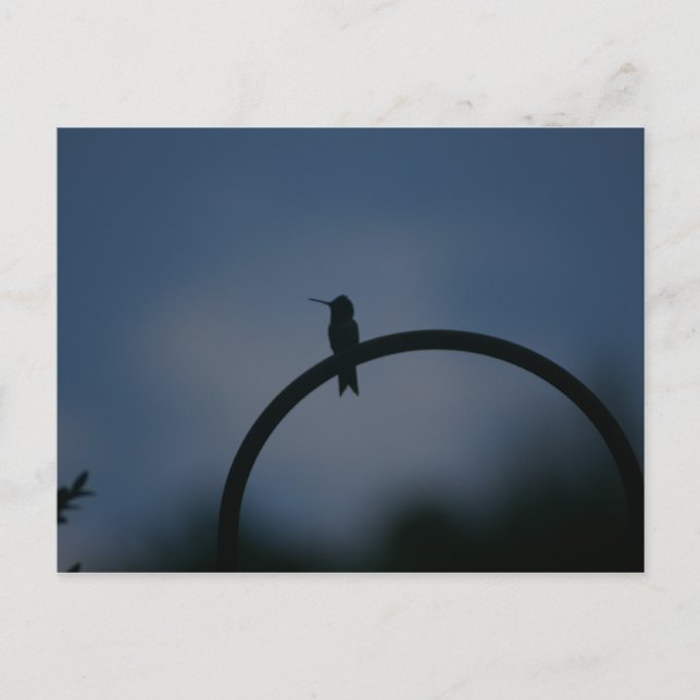 Postal de Hummingbird (Anverso)