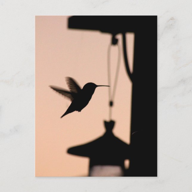 Postal de Hummingbird (Anverso)