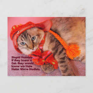 postal de humor humano estúpido