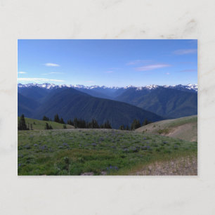 Postal de Hurricane Ridge - Parque Nacional Olímpi