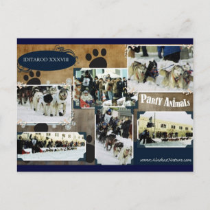 Postal de Iditarod