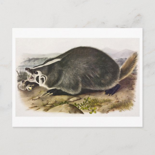 Postal de Ilustracion de época (Anverso)