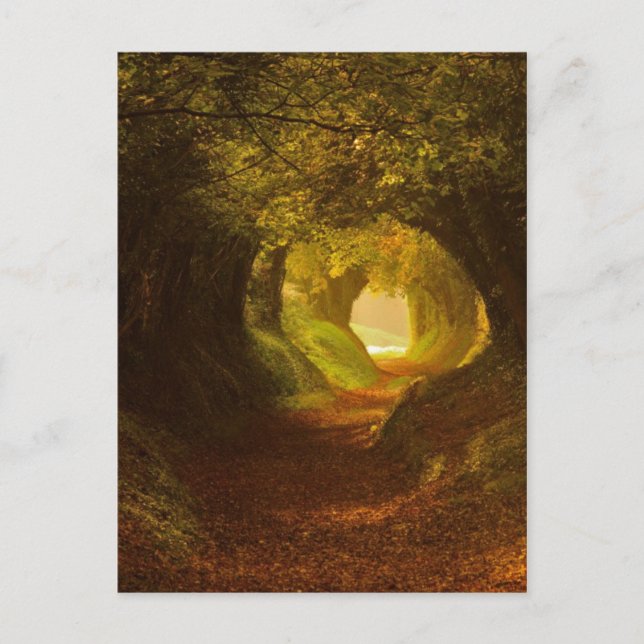 Postal de Ilustracion de época (Anverso)