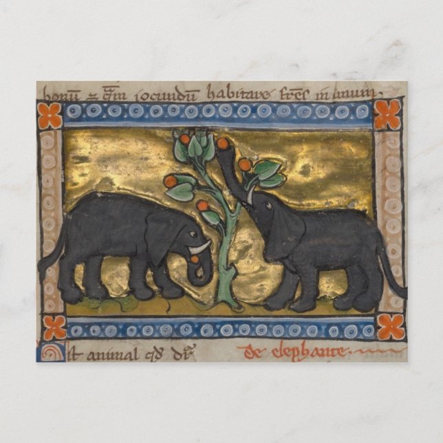 Postal de Ilustracion de época (Anverso)