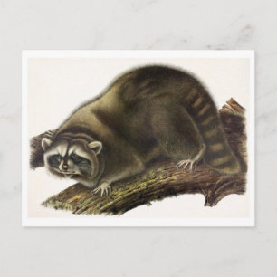 Postal de Ilustracion de época