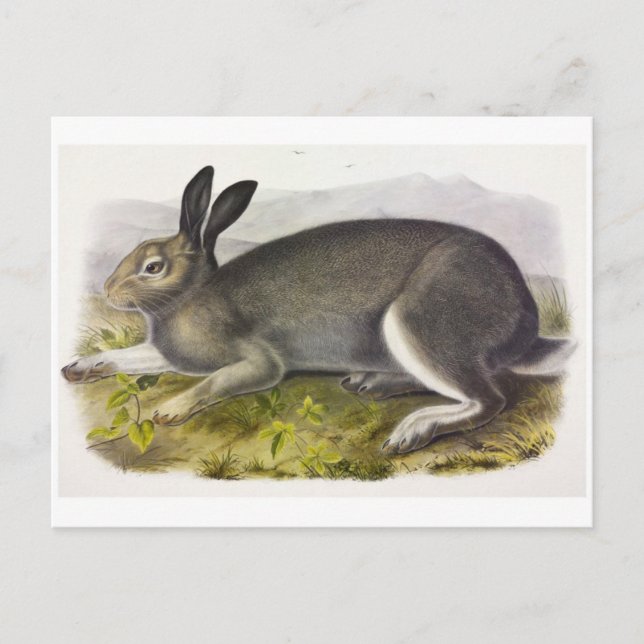 Postal de Ilustracion de época (Anverso)