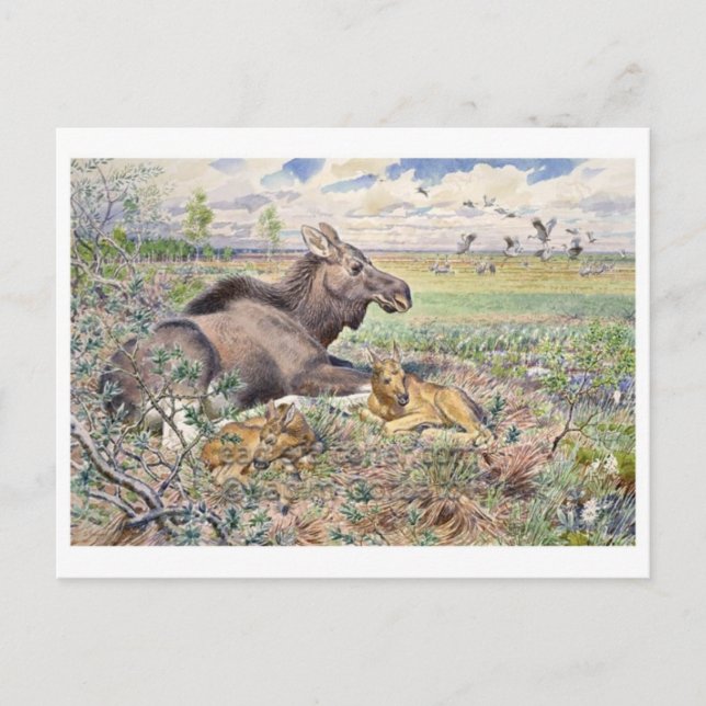 Postal de Ilustracion de época (Anverso)