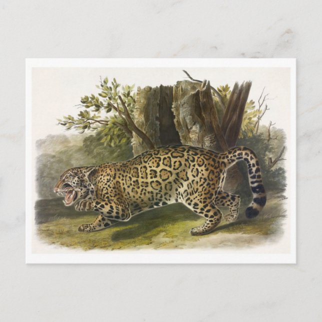 Postal de Ilustracion de época (Anverso)