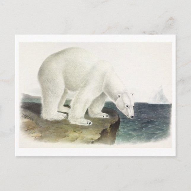 Postal de Ilustracion de época (Anverso)