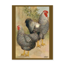 Postal de Ilustracion de época