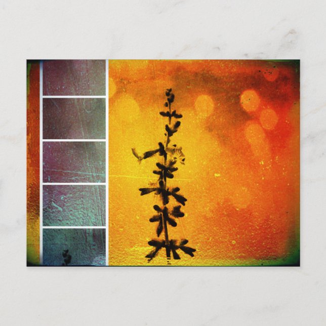 Postal de inflamación del collarín Pervoskia (Anverso)