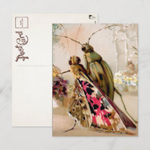 Postal de insectos de Victoria