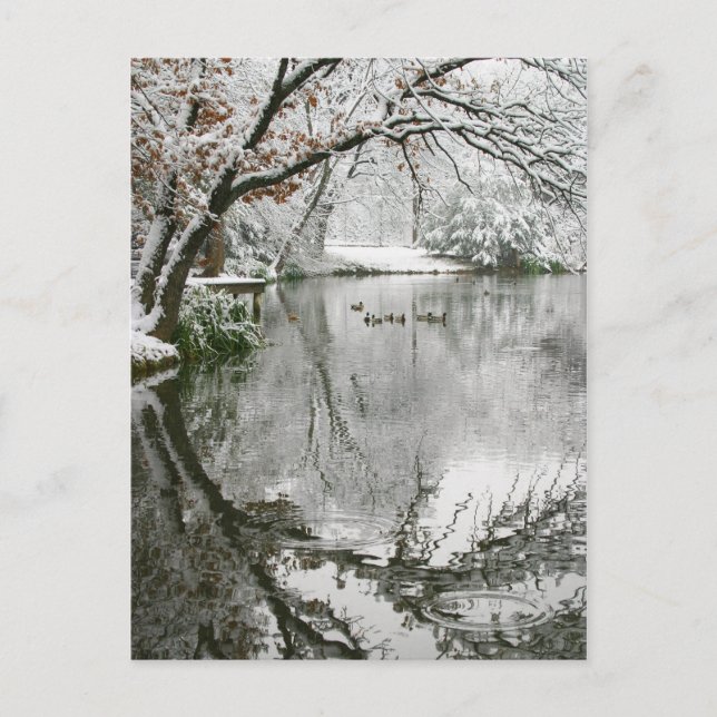 Postal de invierno (Anverso)