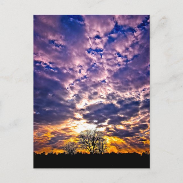 Postal de invierno (Anverso)