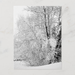 Postal de invierno blanco