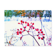 POSTAL DE INVIERNO DE BAYAS ROJAS