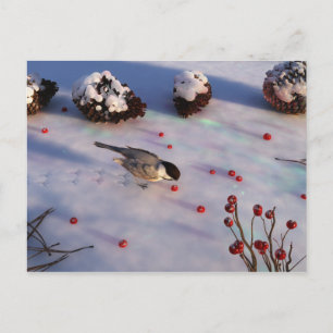 Postal de invierno de Chickadee