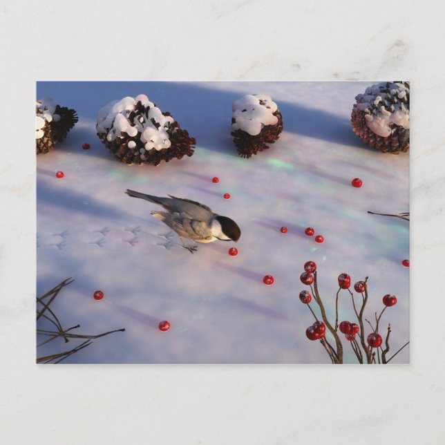 Postal de invierno de Chickadee (Anverso)