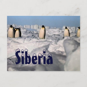 Postal de invierno en el Ártico de Siberia