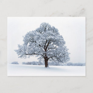 Postal de invierno en Heaton Park