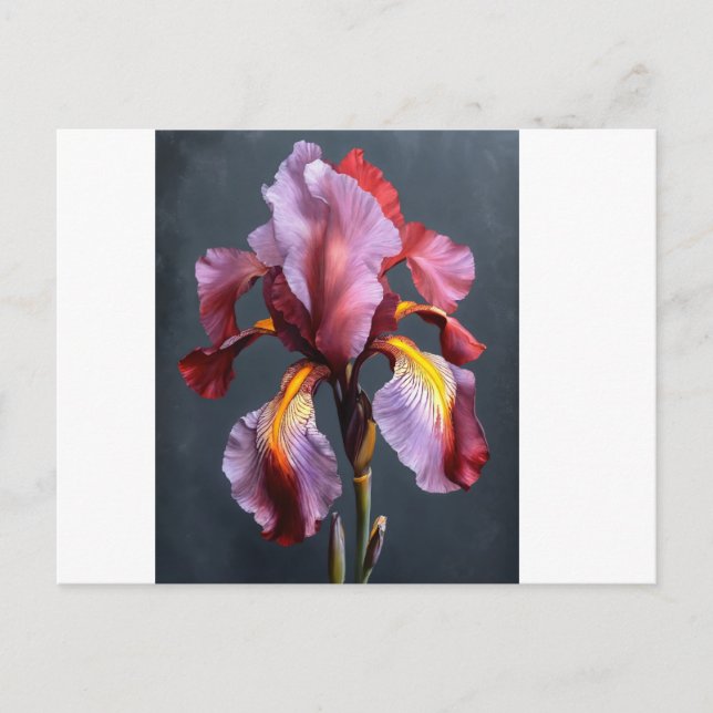 Postal de invitación (Anverso)