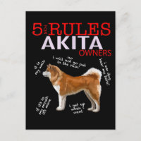 Akita Dog | 5 Propietario de perros Akita